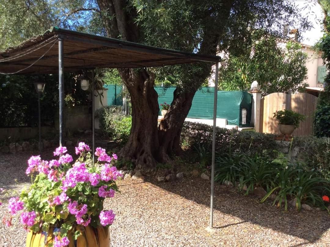 Villa Lisemanu à Juan-les-Pins Extérieur photo